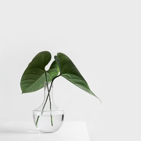 digital_agency_image_02
